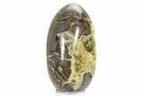 Calcite Crystal Filled Septarian Geode Egg - Utah #231074-1